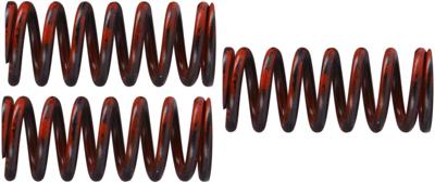 TRW koppelingsveren set clutch spring kit mef324-3