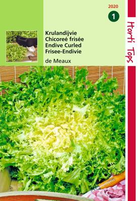 Zaden Krulandijvie De Meaux Hortitops - Hortitops