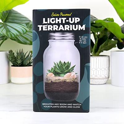 Lichtgevend Terrarium