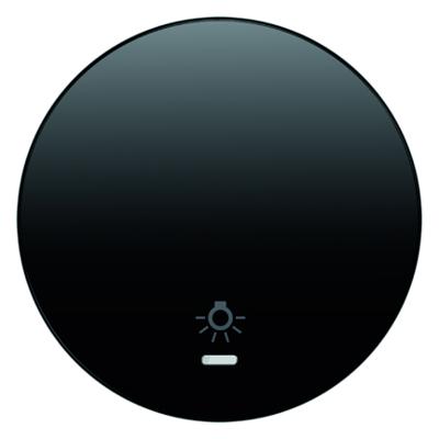 Berker wip met lens lichtsymbool R1-R3 zwart 16212035