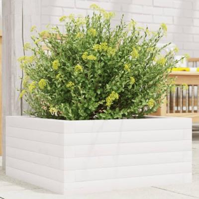 VidaXL Plantenbak 50x50x23 cm massief grenenhout wit VidaXL Plantenbak 50x50x23 cm massief grenenhout wit