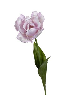 Papegaaitulp l66cm lila kunstbloem Louis Maes - Louis maes Papegaaitulp l66cm lila kunstbloem Louis Maes - Louis maes