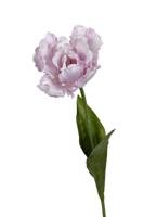 Papegaaitulp l66cm lila kunstbloem Louis Maes - Louis maes - thumbnail
