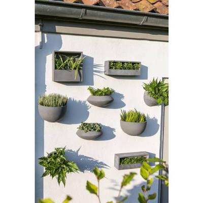 Hangpot Peter Wally M Grey