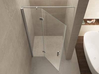 Nis swingdeur Wiesbaden 100x200cm + vast paneel 8mm NANO coating Nis swingdeur Wiesbaden 100x200cm + vast paneel 8mm NANO coating