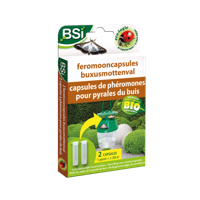 BSI feromooncapsules buxusmottenval navulling - thumbnail
