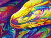 Rainbow Snake Puzzel 1000 Stukjes - thumbnail