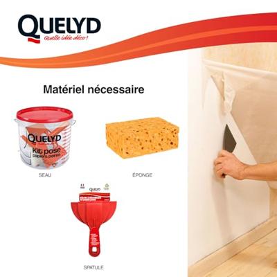 Behangverwijderaar - QUELYD - Dissoucol - Wasmiddel - Verwijdert resten - 500 ml fles (280 m²)