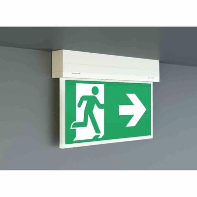 RP Technik KSU019ML LED-vluchtwegverlichting Links, Rechts, Naar boven, Naar beneden RP Technik KSU019ML LED-vluchtwegverlichting Links, Rechts, Naar boven, Naar beneden