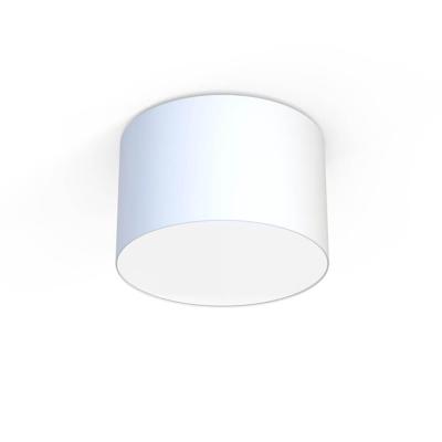 Lyora Witte plafondlampCameron Ø 44,5cm - 9684