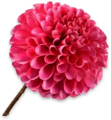 Silk-ka kunsttak dahlia 64cm fuchsia