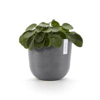 Ecopots Bloempot Oslo Ø25cm - Grijs - thumbnail
