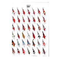 Koiposter nr.1 a4 gelamineerd Aquadistri - Aquadistri - thumbnail