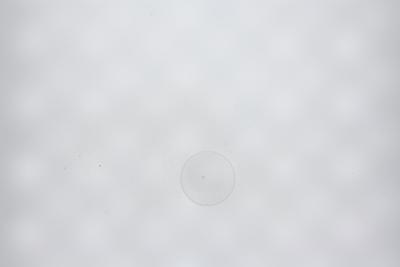 Michael Kors Horlogeglas (vlak) MK5057 Michael Kors Horlogeglas (vlak) MK5057