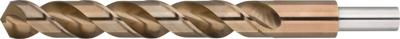 Rotec HSS-E spiraalboor, DIN 338, type HD-S, d2=13, ø13,5 - 1101351 Rotec HSS-E spiraalboor, DIN 338, type HD-S, d2=13, ø13,5 - 1101351