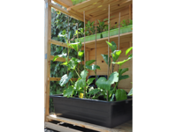 Royal Well | Maxi Container 40 liter - thumbnail