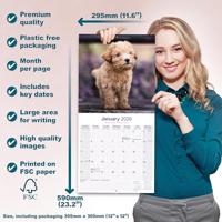 Poedel Toy en Miniatuur Kalender 2026 - thumbnail