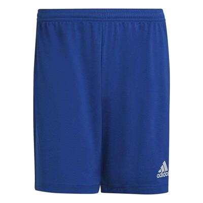 Voetbal Trainingsbroeken voor Volwassenen Adidas Ent22 Blauw Maat XL Voetbal Trainingsbroeken voor Volwassenen Adidas Ent22 Blauw Maat XL