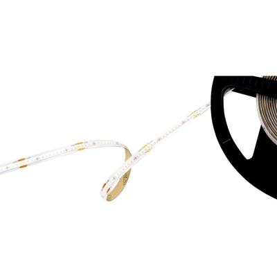 Barthelme 51542740 LED-strip Met soldeeraansluiting 24 V/DC 5000 mm Koudwit 5 m