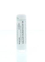 Homeoden Heel Kalium muriaticum D6 6 Gram - thumbnail