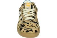 Ocra 126C - alle - thumbnail