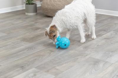 Hondenspeelgoed Trixie Snacks