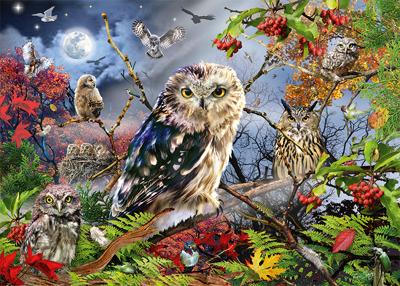 Premium Collection Puzzel - Owls In The Moonlight (1000 Stukjes) - Puzzel;Puzzel (8710126188590) Premium Collection Puzzel - Owls In The Moonlight (1000 Stukjes) - Puzzel;Puzzel (8710126188590)