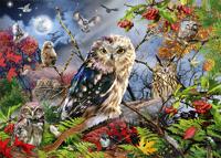 Premium Collection Puzzel - Owls In The Moonlight (1000 Stukjes) - Puzzel;Puzzel (8710126188590) - thumbnail
