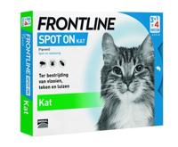 Frontline kat spot on (4 PIPET) - thumbnail