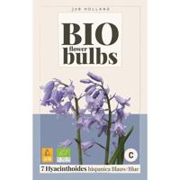Bio Hyacinthoides hispanica blauw 7 bollen - thumbnail