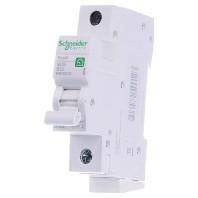 Schneider Electric R9F23132 Sonstiger Schalter/Taster Zekeringautomaat 32 A 230 V