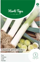 Zaden Prei Blauwgroene Winter Sel. Hiverbleu Hortitops - Hortitops - thumbnail