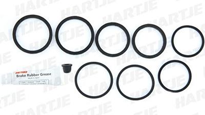 DAYTONA reparatie kit remklauw repair set 88448