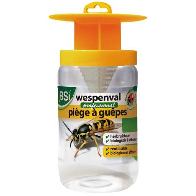 BSI wespenval