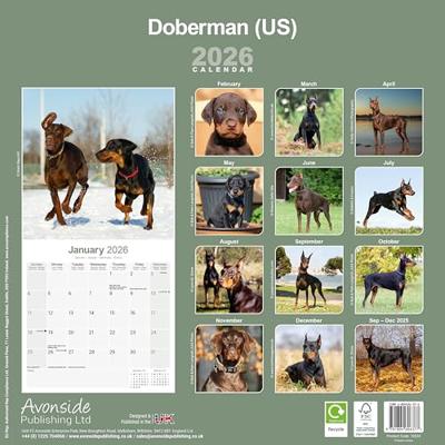 Dobermann Kalender 2026