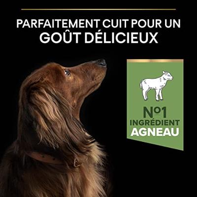 PURINA Pro Plan Small & Mini Adult Sensitive Digestion - 7kg