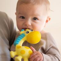 Playgro Squeak And Soothe Natural Teether hangend babyspeelgoed - thumbnail