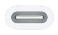 Apple USB-C Adapter [1x Apple Dock-bus Lightning - 1x USB-C bus] Pencil Adapter - thumbnail