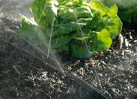 Meister Druppelslang M.A. 15M W - WU9927210 - thumbnail