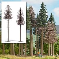 Busch 6167 Set bomen Spar 160 tot 180 mm 2 stuk(s) - thumbnail