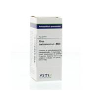 VSM Rhus toxicodendron LM30 4 Gram - thumbnail