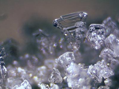 BRESSER Microscoop Erudit ICD Stereo (30.5)