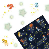 SES glowing sterrenbeelden - thumbnail