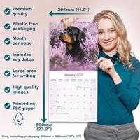 Rottweiler Kalender 2026 - thumbnail