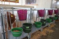 Voederschaal 8 l olijfgroen - thumbnail