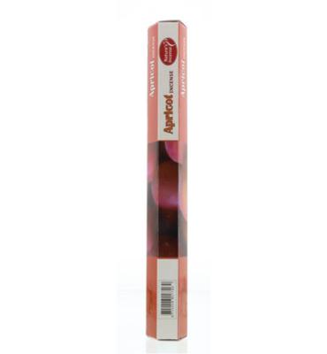 Natures Incense Wierook apricot (20 st)