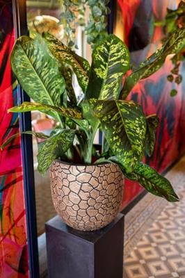 Bolvormige pot - CAPI EUROPE - Klei NL - 35 x 34 cm - Zwart/goud