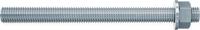 Fischer ankerstang fis a m6 x 110 elektrolytisch verzinkt 5.8 - 90273 - 20 stuk(s) - 90273 - thumbnail
