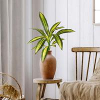 Draceana Fragrans 70cm Kunstplant Burley - thumbnail