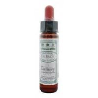 Ainsworths Centaury Bach 10 Milliliter - thumbnail